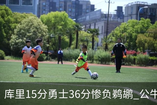 库里15分勇士36分惨负鹈鹕 公牛加时险胜火箭