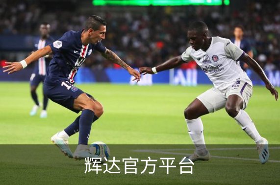 辉达官方平台概况