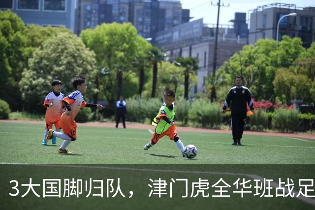 3大国脚归队，津门虎全华班战足协杯 孙铭谦缺阵 不受伤是首要目标